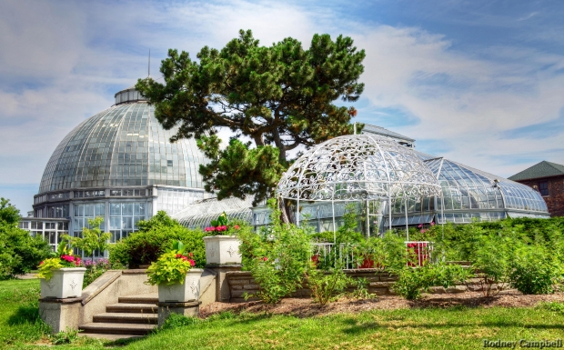 greenhouse.jpg