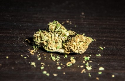 marijuana2.jpg