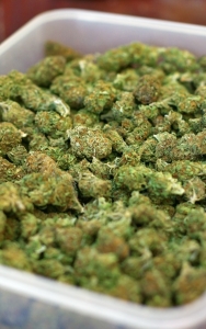 Marijuana lawyer
