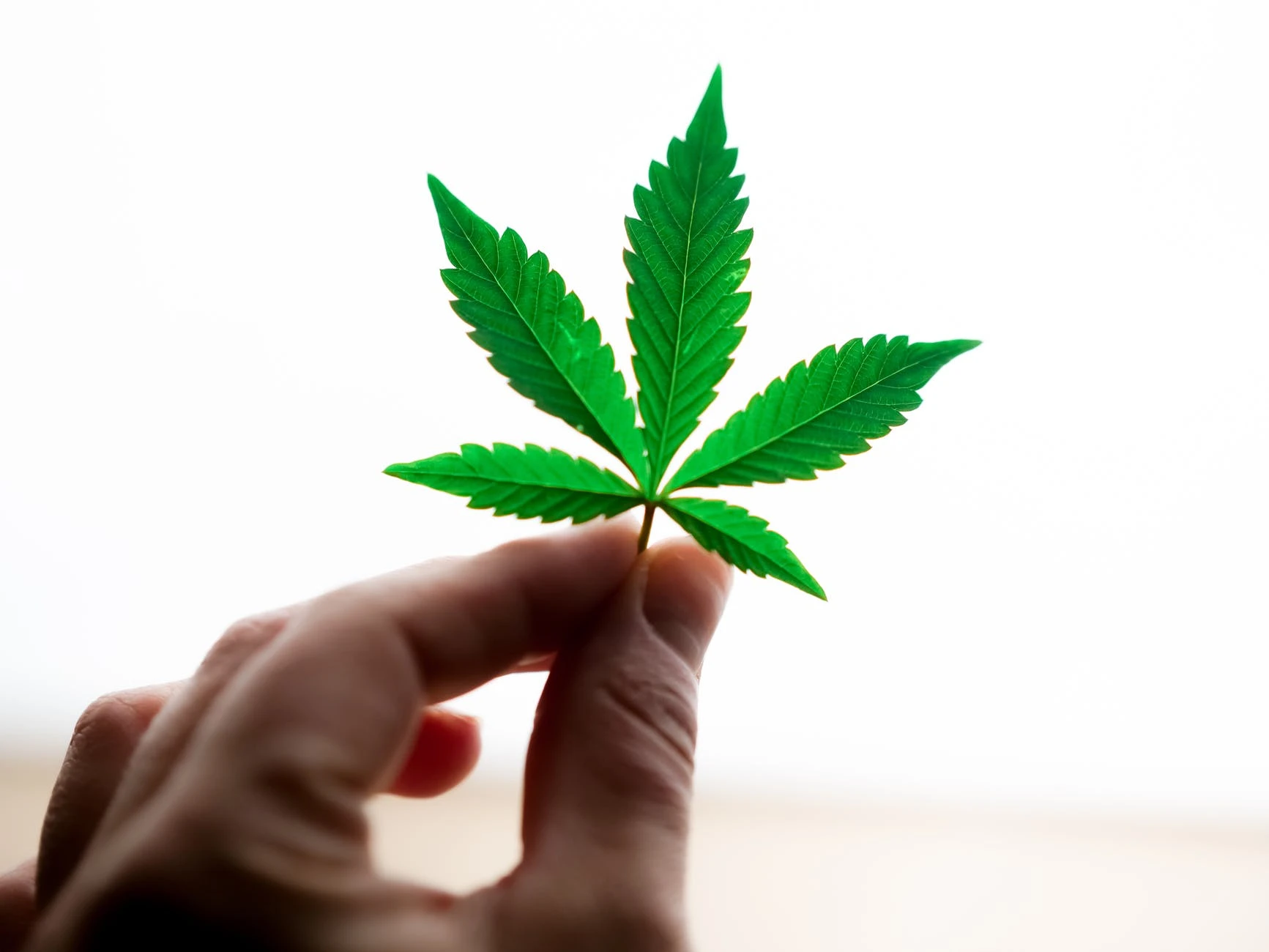 Los Angeles marijuana business lawyer