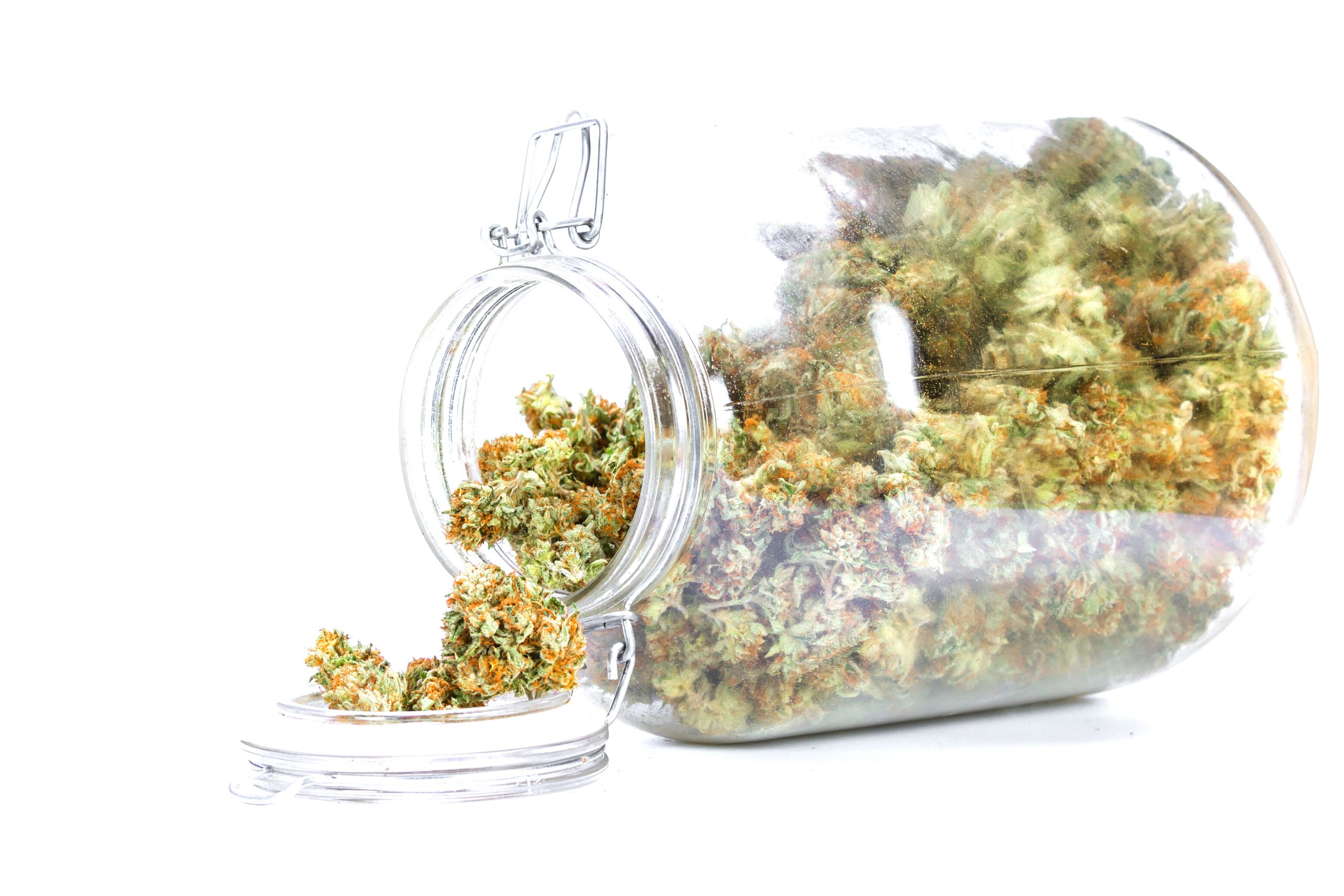cannabis employment protection