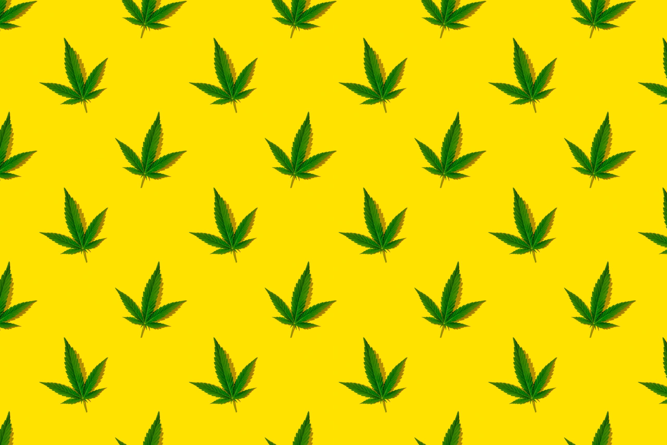 Los Angeles cannabis advertising lawyer