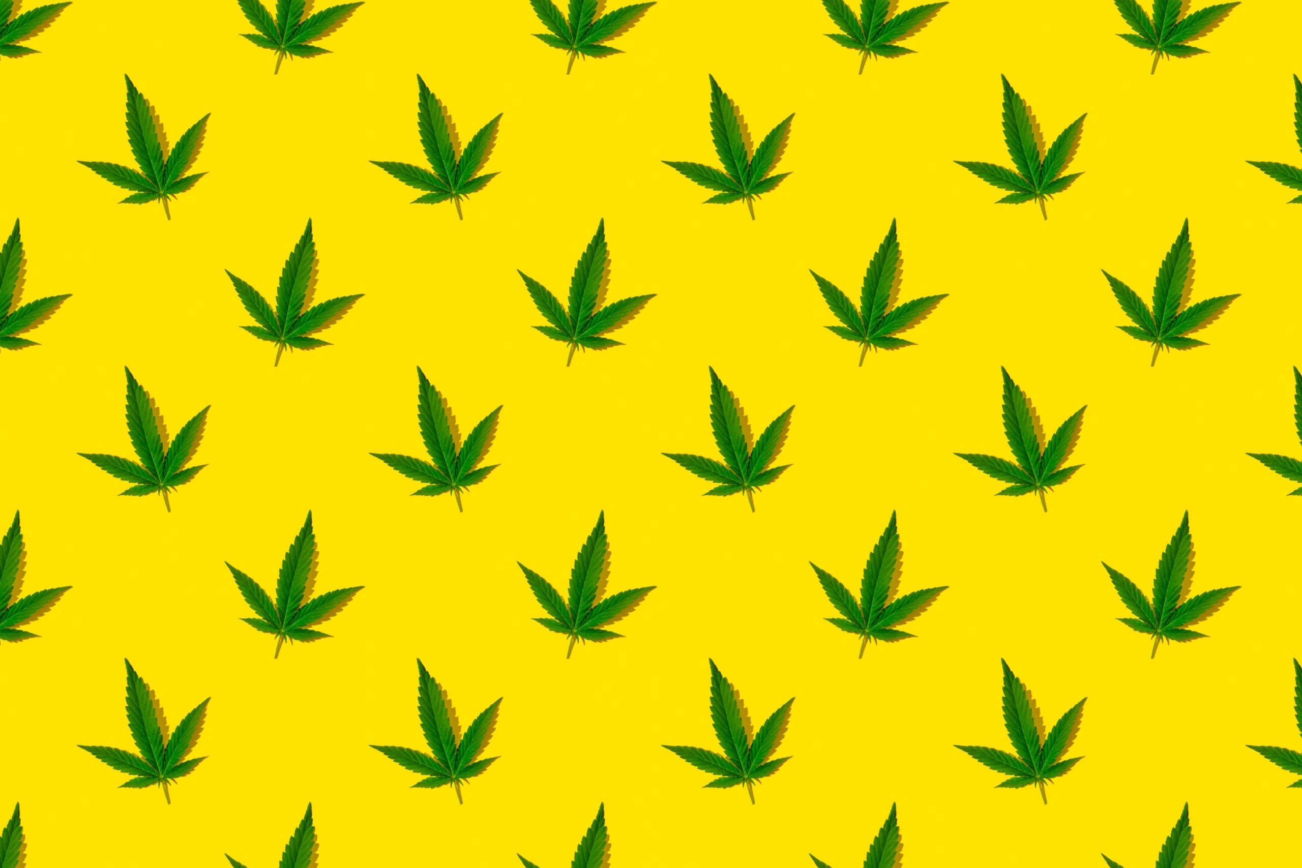 Los Angeles cannabis advertising lawyer